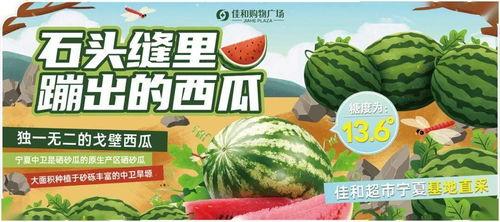 热门大瓜每日大赛,揭秘娱乐圈最新爆料，大赛精彩瞬间回顾